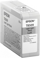 Cartucho EPSON T850900