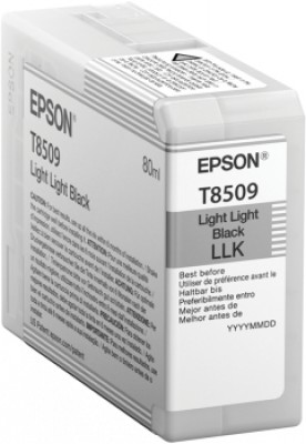 Cartucho EPSON T850900